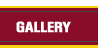 View the gallery